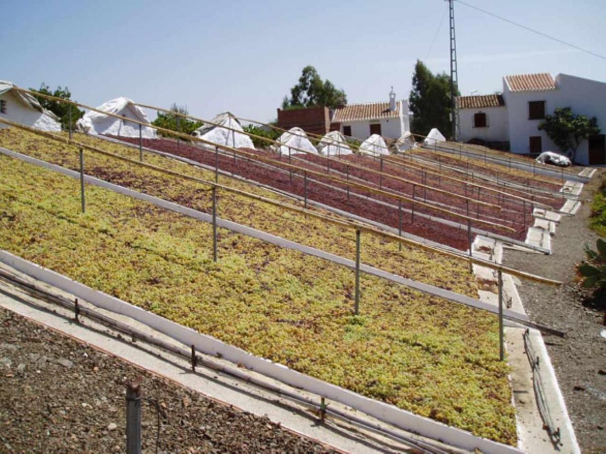 Casa Mirador Las Claras Con Piscina Privada Jardin Iznate Luaran gambar